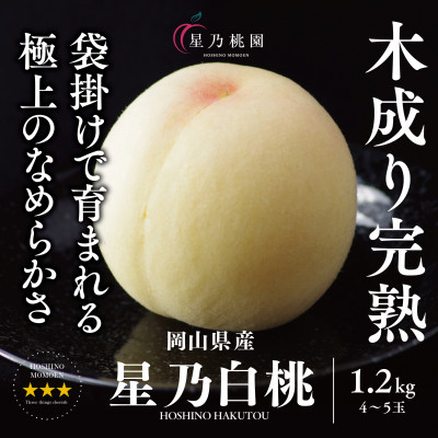 先行受付【星乃白桃】岡山県の桃園からお届けする三つ星の桃 1.2kg (4～5玉)【配送不可地域：離島・北海道・沖縄】【1614276】