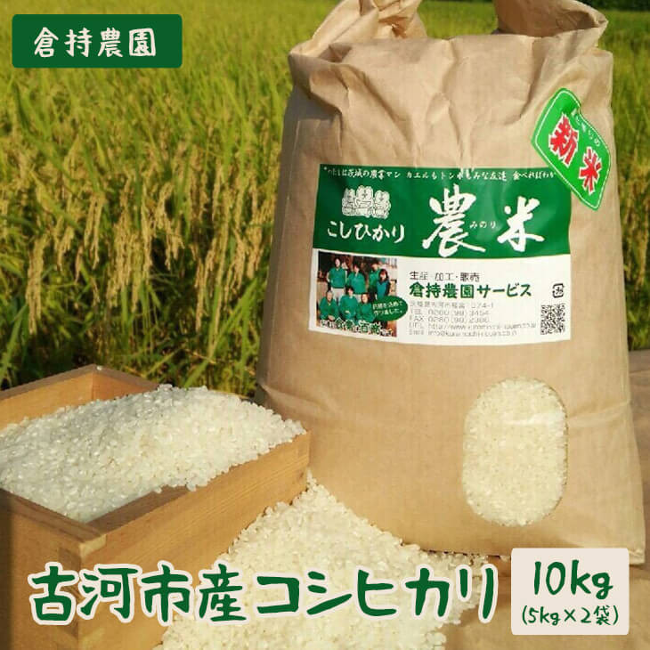 
【新米】【令和6年産】古河市産 コシヒカリ10kg【倉持農園】 | 米 こめ コメ こしひかり コシヒカリ 10キロ 古河市産 茨城県産 贈答 贈り物 プレゼント 茨城県 古河市 直送 農家直送 産地直送 送料無料 _AN01
