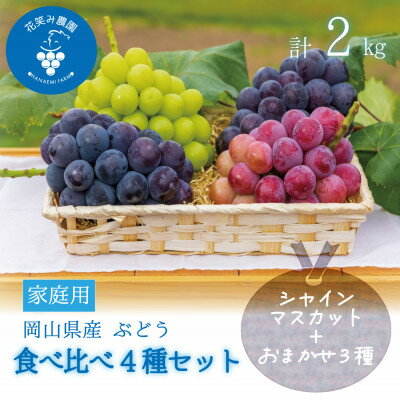 【ふるさと納税】岡山　花笑み農園の『食べ比べ4種セット』シャイン入り(4房)家庭用　4M-2家【9月中旬～順次発送】【配送不可地域：離島】【1650753】