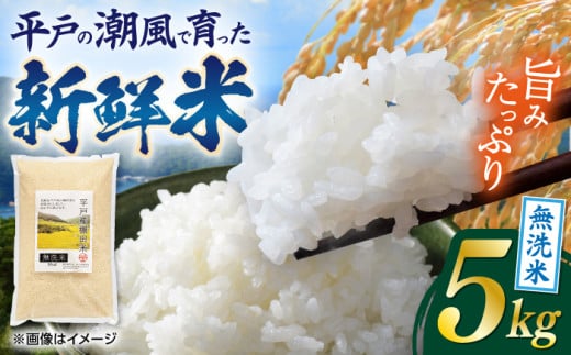 【着日指定 可能】平戸の潮風で育った新鮮無洗米（5kg） 平戸市 / ひらど新鮮市場  [KAB321]