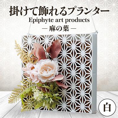 ふるさと納税 東郷町 Epiphyte　Art　Products　麻の葉　L　白