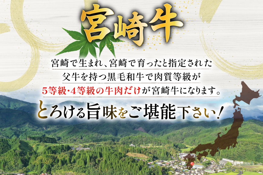 牛肉 宮崎牛 4種 食べ比べ 焼肉 計1.2kg [ミヤチク 宮崎県 美郷町 31au0054] 黒毛和牛 冷凍 焼肉 小分け 個包装 牛肩ロース 牛ウデ 牛モモ_イメージ2