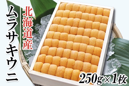 ムラサキウニ250g×1折[7月上旬以降順次発送] C-53006