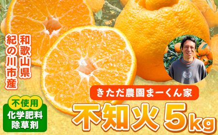 紀の川市不知火 まーくん家の不知火 5kg きただ農園まーくん家《2月末-3月下旬頃出荷》和歌山県 紀の川市 柑橘 化学肥料・除草剤不使用 しらぬい