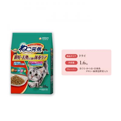 ふるさと納税 伊丹市 ねこ元気 避妊・去勢した猫の体重ケア まぐろかつお白身魚チキン緑黄色野菜入り[54030484]