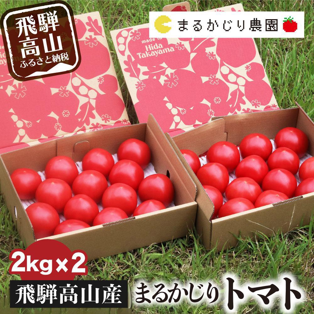 【ふるさと納税】【2026年予約受付】 飛騨高山産 トマト 『麗月』4kg（2kg×2箱） | とまと 産地直送 野菜 飛騨高山 まるかじり農園 FW003