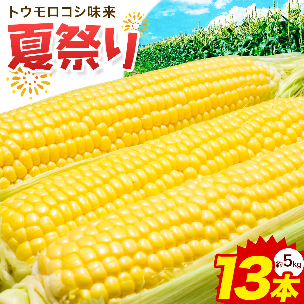 【ふるさと納税】トウモロコシ 味来 夏祭り 13本 約5kg JA北つくばファーマーズマーケットきらいち結城店《6月中旬-7月中旬頃出荷》 茨城県 結城市 野菜 甘味が強い 柔らかい ジューシー フルーティー 夏野菜 コーン【配送不可地域 本州以外】（離島不可）