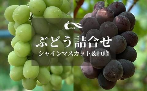No.2333ぶどう(巨峰・シャインマスカット詰合せ）（約2kg）【2025年発送】