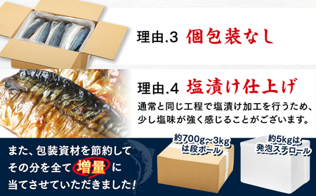 【定期便 毎月3回】 塩サバフィレ 計:9kg ※1回あたり3kg 冷凍 鯖 塩 さば 魚 塩さば さかな 海産物 おかず 鯖ご飯 魚介 海鮮 惣菜 塩サバ 塩鯖 焼き鯖 サバ 焼きさば 焼さば 南知