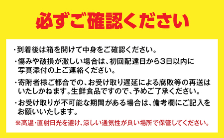 先行予約 訳あり 宮浦産 蔵出し 日向夏 計3kg以上_BC131-25
