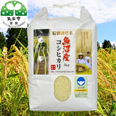 ふるさと納税 魚沼市 【毎月定期便】森山農園特別栽培米魚沼産コシヒカリ(新潟県認証)5kg全2回