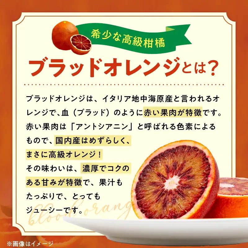 【直営限定】《先行予約・2027年3月発送》希少柑橘 ご家庭用 ブラッドオレンジ　サイズ混合/ご家庭用/4kg(傷み補償200g)_AB7371_Y