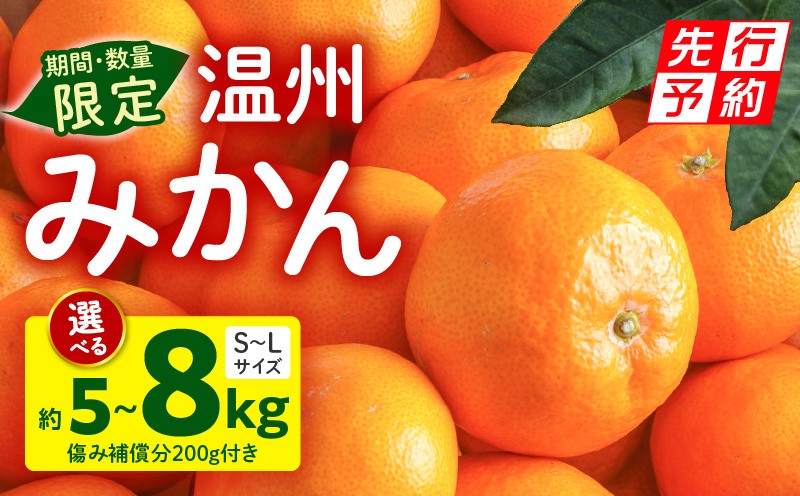 
            《2025年発送先行予約》【選べる内容量】【期間・数量限定】温州みかん(傷み補償分200g付き)_M249-001-SKU
          