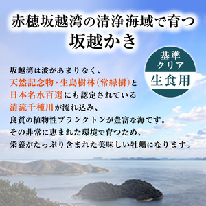 メディアでも話題の生食用カキ！赤穂・坂越湾で育った新鮮な身を厳選(坂越産カキ 生食用 殻付2kg)[ 牡蠣 冬牡蠣 ]