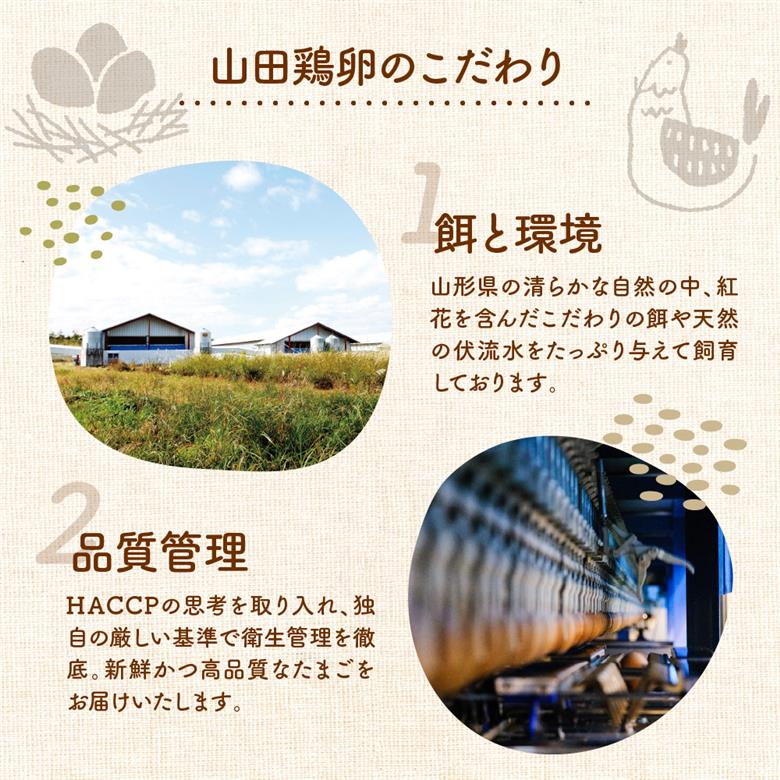 【3ヶ月定期便】 紅花たまご 30個セット 10個×3パック/月 卵 たまご 定期便