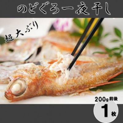 ふるさと納税 大田市 超大ぶり!のどぐろ一夜干し 1枚　200g前後　(A126)