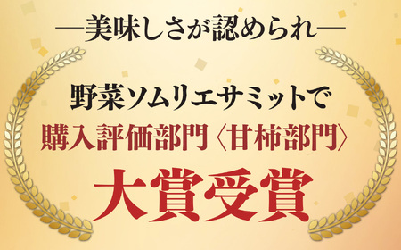 【令和7年分 先行予約】 富有柿 約3.5kg （11～13個） 選べる 内容量 日本野菜ソムリエ協会大賞受賞品 | 富有柿 かき フルーツ 柿 かき 果物 先行 予約 日本 野菜 ソムリエ 協会 大