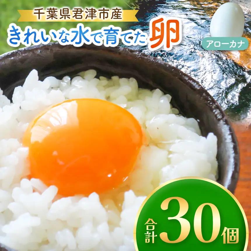 【2週間以内に発送】 きれいな水で育てた卵 アローカナ 30個 |  保坂農場 