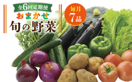 【全6回定期便】旬の野菜セット 7品 [JBO045] 野菜 やさい 旬 セット 詰め合わせ   60000 60000円 6万円