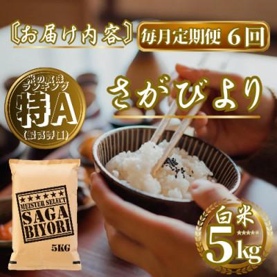 ふるさと納税 佐賀県 【毎月定期便】さがびより白米5kg(佐賀県)【41ANAD013】全6回 |  | 03