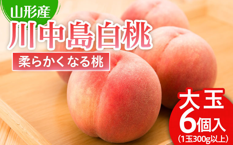 
川中島 白桃 秀品 大玉 ６個入 1箱 1.8kg以上[やわらかくなる桃] 【令和6年産先行予約】FU21-007 フルーツ くだもの 果物 山形 山形県 山形市 2024年産
