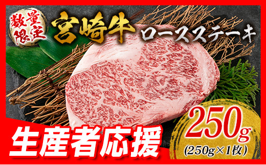 【父の日までにお届け】生産者応援 数量限定 宮崎牛 ロース ステーキ 1枚 牛肉 ビーフ 黒毛和牛 ミヤチク 国産 ブランド牛 食品 おかず ディナー 人気 おすすめ 鉄板焼き 高級 贅沢 上質 ご褒美 お祝 記念日 イベント グルメ 枚数が選べる 宮崎県 日南市 送料無料_AA61-24-FD