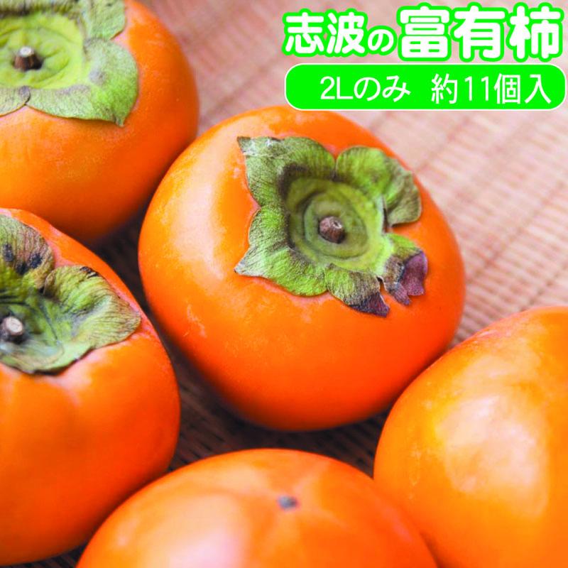 【ふるさと納税】柿 志波の富有柿 2Lサイズのみ×約11個入 ゆう美果樹園 ※配送不可：離島　お届け：2026年11月20日～12月10日