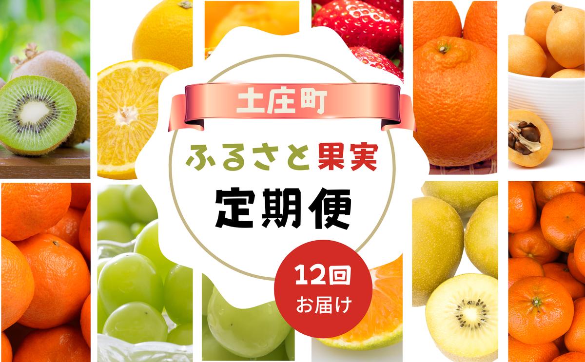 【 小豆島 】【12回お届け】土庄町 ふるさと果実 定期便 12回