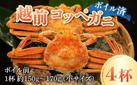 【先行予約】【数量・期間限定】福井県産 越前コッペガニ（セイコガニ）×4杯【急速冷凍】（プロトン凍結）【11月中旬より順次発送】