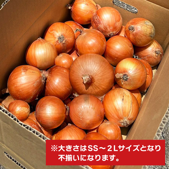 淡路島玉葱 10kg 【栽培期間中、無農薬栽培】サイズ混合SS～