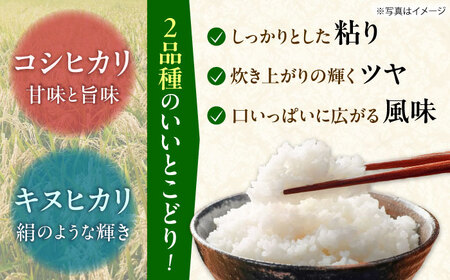 【令和7年産 白米】 はるみ 10kg 白米 はるみ [BDBF002-2]