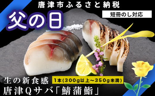 「父の日」生の新食感 唐津Qサバ「鯖蒲鮨」1本(300g以上～350g未満) さば 蒲鉾 かまぼこ おつまみ ギフト 鯖 サバ 唐津 Qサバ 鯖鮨 呼福 大志 水産 魚 海鮮 水産加工