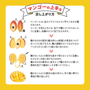 【2026年6月以降お届け】極　完熟マンゴー（2?3玉：約1.1?1.3kg） _ 完熟マンゴー 2 ? 3玉 約1.1kg 1.3kg 平均糖度 17度?18度 完熟 マンゴー 倉重農園 フルーツ 