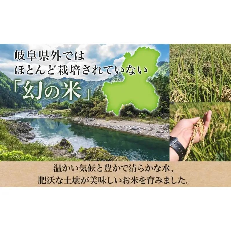 ＜先行予約＞令和8年産 はつしも 精米 30kg×1袋 低農薬 新米 お米 白米 米 ごはん 米 ご飯 ハツシモ R8年産 あっさり ブランド米 お取り寄せ 産地直送 送料無料 美濃グリーン 岐阜県 