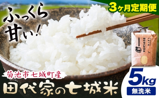 【3ヶ月定期便】令和7年産 菊池市七城町産 田代家の七城米 七城ヒノヒカリ 無洗米 5kg 田代こめや《お申込み翌月から出荷》熊本県 菊池市 米 お米 精米 ひのひかり 菊池市産 熊本県産 九州産 送料無料