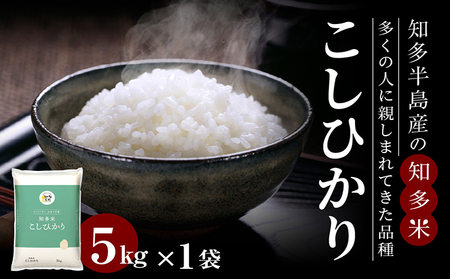 知多米　こしひかり 1袋(5kg) 白米 コシヒカリ 農協 精米 ブランド米 米 おこめ ライス 国産 美味しいお米 うるち精米 食品 ご飯 朝ごはん 朝食 お取り寄せ 国産 愛知県 常滑市