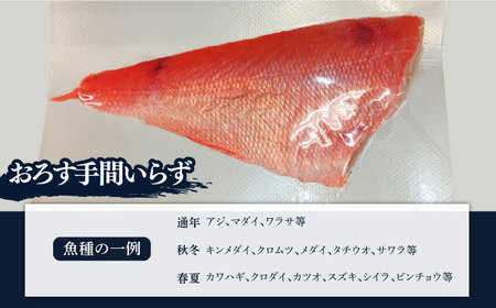 お刺身用 三浦半島の天然地魚 三枚おろし 約1.5kg 刺身 魚 処理済み 下処理済み 三枚おろし　【長井水産株式会社】[AKAJ028]