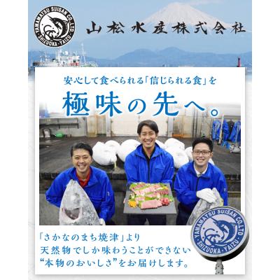 ふるさと納税 焼津市 鮪商人セレクト 天然目鉢鮪の中トロ柵赤身柵(a20-418) |  | 01