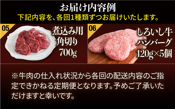 【6回定期便】しろいし牛1頭まるごと 食卓定期便 大容量 マリネ 焼肉 ハンバーグ【有限会社佐賀セントラル牧場】 [IAH222]