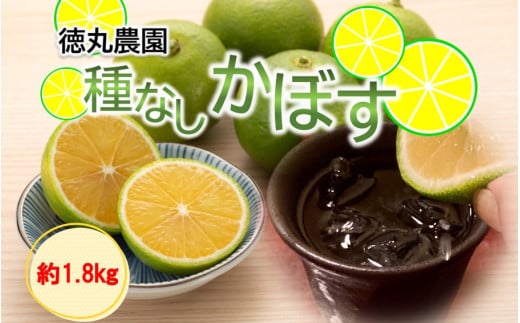 【令和7年9月発送】朝霧立ち込める里からお届け！徳丸農園 種無しかぼす約1.8kg_2177R