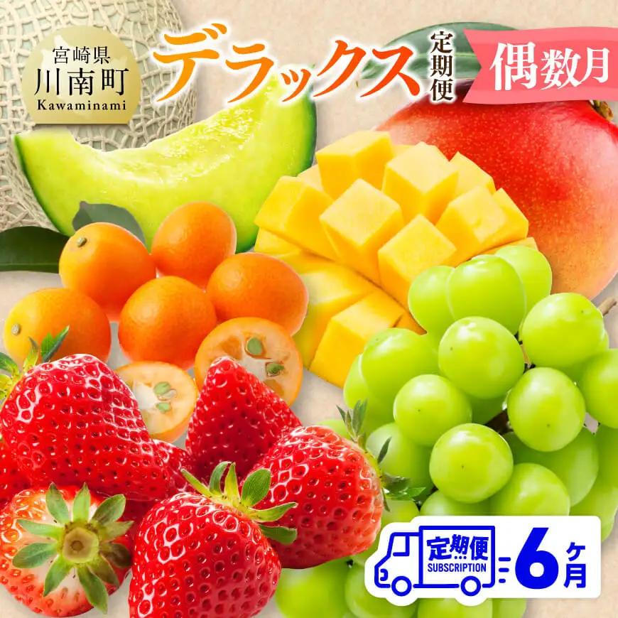  デラックス 定期便 【偶数月】【 川南町産 きんかん いちご 完熟 マンゴー ぶどう シャイン マスカット メロン  全6回定期便 】