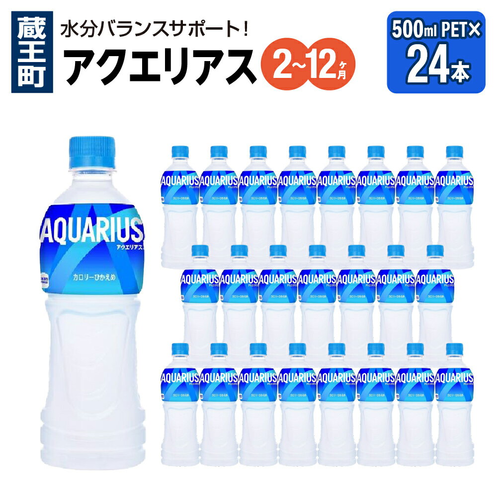 【ふるさと納税】【2〜12か月連続お届け】アクエリアス　500ml PET×24本　【04301-0040〜42・705〜707】 コカ・コーラ ボトラーズジャパン ペットボトル 合計 12L 1ケース 宮城県 蔵王町 定期便 スポーツドリンク スポドリ スポーツ飲料 送料無料