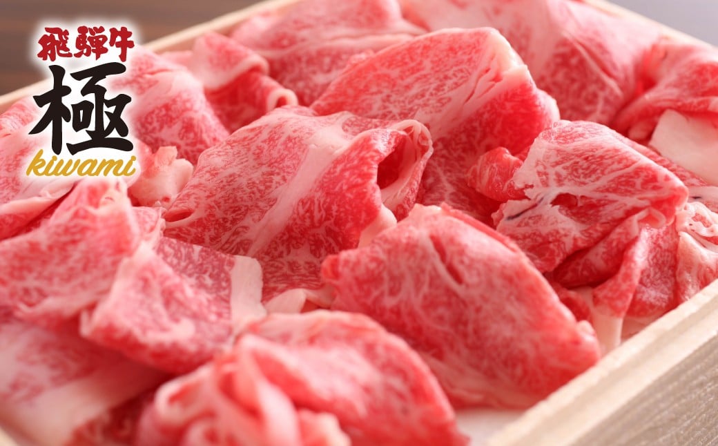 
                  飛騨牛 ちょっとリッチな切り落とし500g　牛肉 和牛 肉 切り落とし 飛騨市 
                