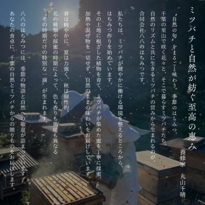 ふるさと納税 大網白里市 千葉県産純粋はちみつ【500g 1本 】はるのやま(百花蜜) |  | 02