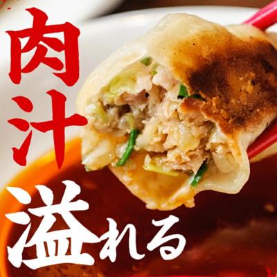 ふるさと納税 敦賀市 【訳あり】 肉汁溢れる!敦賀和風肉餃子 120個入り【ますよね 総菜 惣菜】 |  | 01