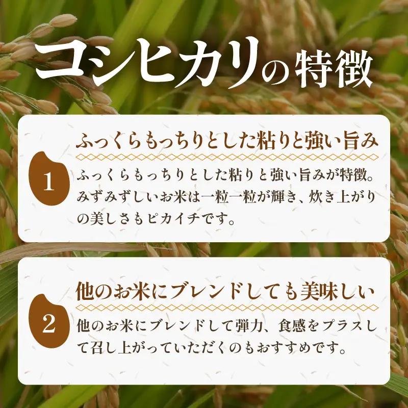 【先行予約】【令和8年産 新米】特別栽培米 コシヒカリ 10kg 低農薬 《食味値85点以上！こだわり極上米》 / 福井県 あわら 北陸 米 お米 人気 高品質 鮮度抜群 新米 ※2026年9月上旬よ