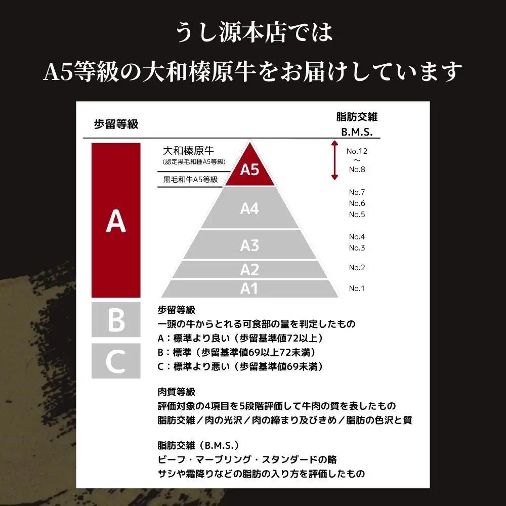 【ふるなびWEEK対象】(冷凍) 大和榛原牛 たれ漬け ／ 黒毛和牛 A5ランク 味付き 野菜炒め 時短レシピ 焼肉 BBQ バーベキュー キャンプ アウトドア 父の日 母の日 手土産 お中元 暑中見
