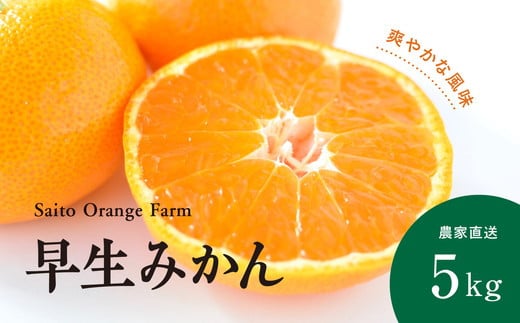 
            【先行予約】Saito Orange Farmの早生(わせ)みかん5kg ｜ 柑橘 みかん ミカン フルーツ  果物 愛媛　※離島への配送不可　※2024年11月中旬頃より順次発送予定
          