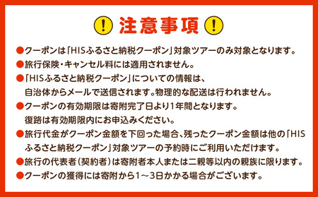 宮崎県宮崎市の対象ツアーに使えるHISふるさと納税クーポン 寄附額100000円 クーポン 宮崎県 ツアー
