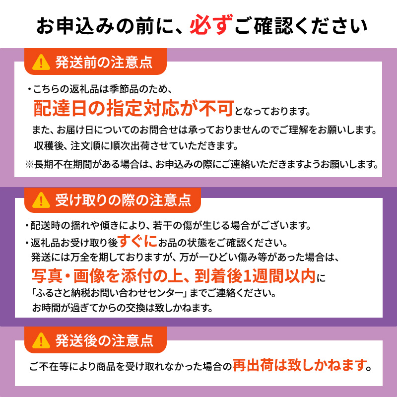 1～2月 津軽ぶどう村 秀品 スチューベン ぶどう 約 3kg  訳あり 家庭用 【 青森ぶどう 青森県鶴田町産 11月 12月 果物 フルーツ ポリフェノール 甘い 高糖度 美味しい 